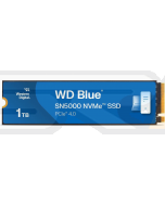 SanDisk WDS100T4B0E