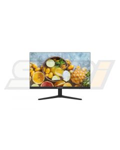 Hikvision DS-D5024F2-2P2(AMERICANS