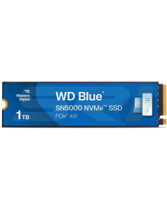 SanDisk WDS100T4B0E